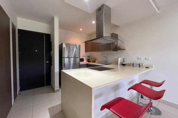 Se alquila Apartamento en Pozos, Santa Ana. Full amoblado.