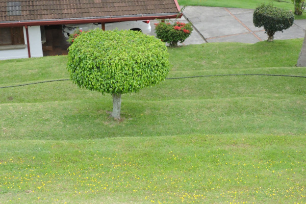Se alquila casa una planta en Escazu. Linda vista En Condominio (Ref. 4615)-6