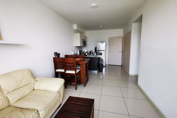 Heredia. Se alquila apartamento en Bambú. Full amoblado.